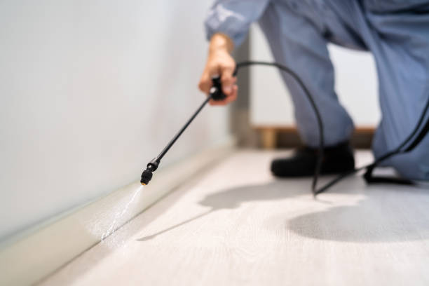 Licensed Termite Control service in Kinder, LA - Nex Pest Control