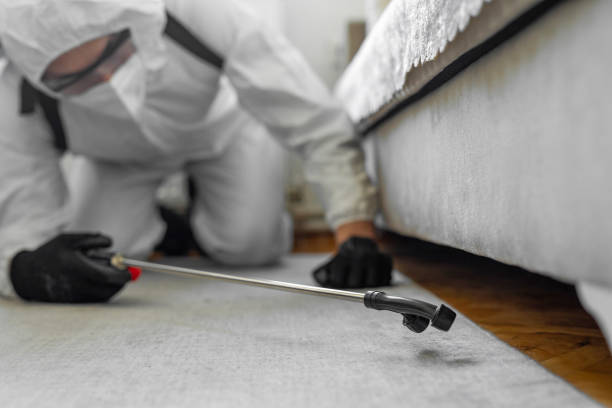 Professional Termite Control technician working in Kinder, LA