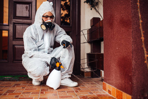 Reliable Termite Control contractor in Kinder, LA by Nex Pest Control